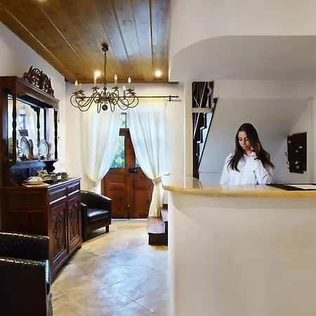 Aristotelio Boutique 住宿加早餐酒店 佩多拉斯