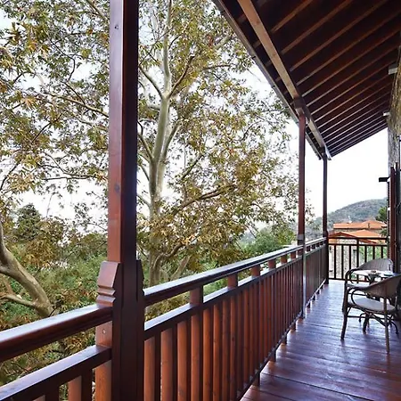 Aristotelio Boutique