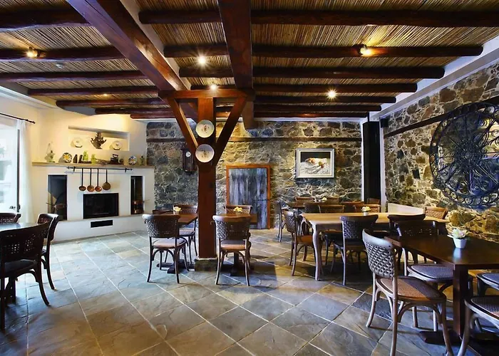 Aristotelio Boutique