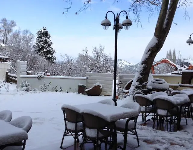 αριστοτέλειο 4*